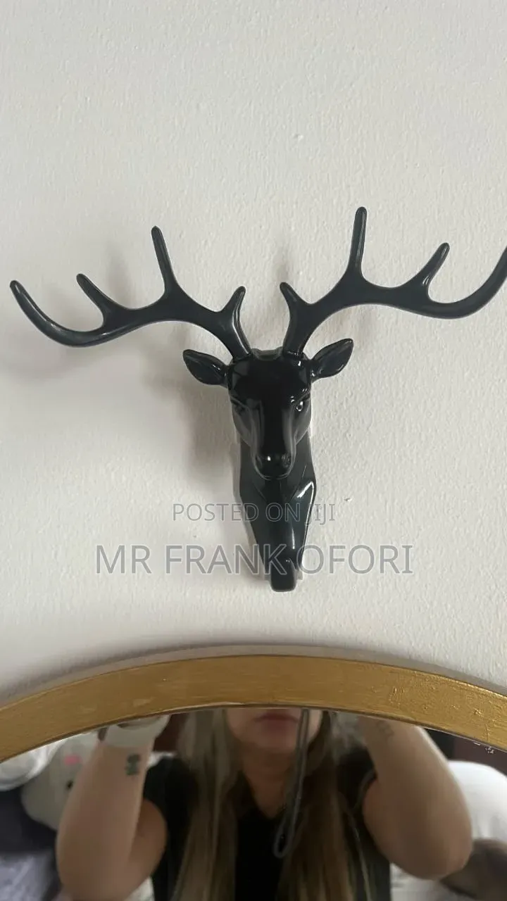 Animal Hook for Home and Office Decoration