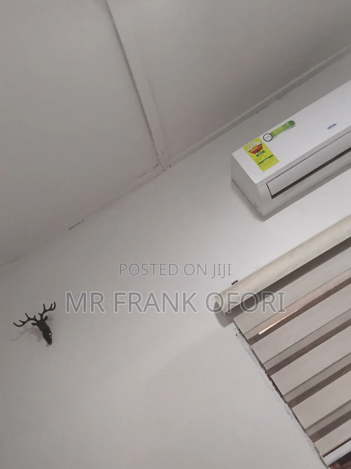 Animal Hook for Home and Office Decoration