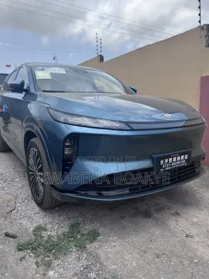New Dongfeng Captain 2025 Green