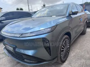 New Dongfeng Captain 2025 Green