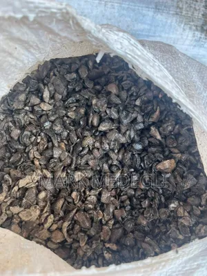 Palm Kennel Shell for Sale in Accra