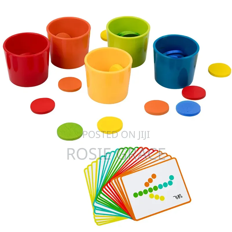 Montessori Shapes Colour Sorter