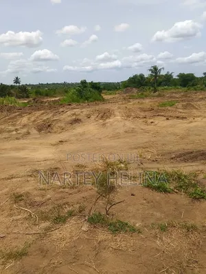 Alpha Lands At Nsawam Ayibonte Ready For Sale