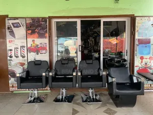 Barbering and Salon Chair.