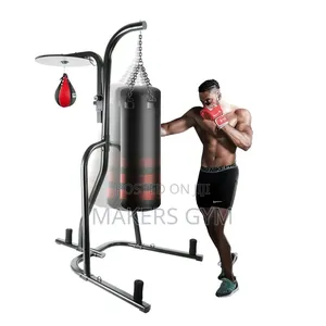 Punch Bag With Speed Ball and Stand(Pro)