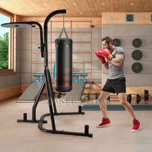 Punch Bag With Speed Ball and Stand(Pro)