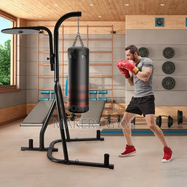Punch Bag With Speed Ball and Stand(Pro)