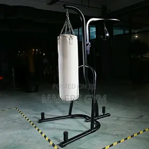 Punch Bag With Speed Ball and Stand(Pro)