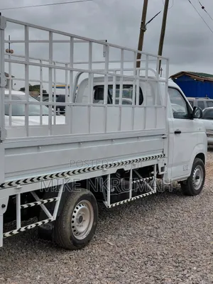 Mini Truck