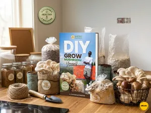 Diy - Quick Guide - Growing Mushrooms - Ebook - PDF