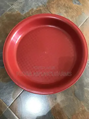 Chick Tray