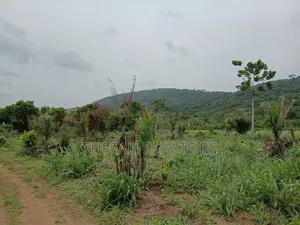 50 Acres Farmland for Sale