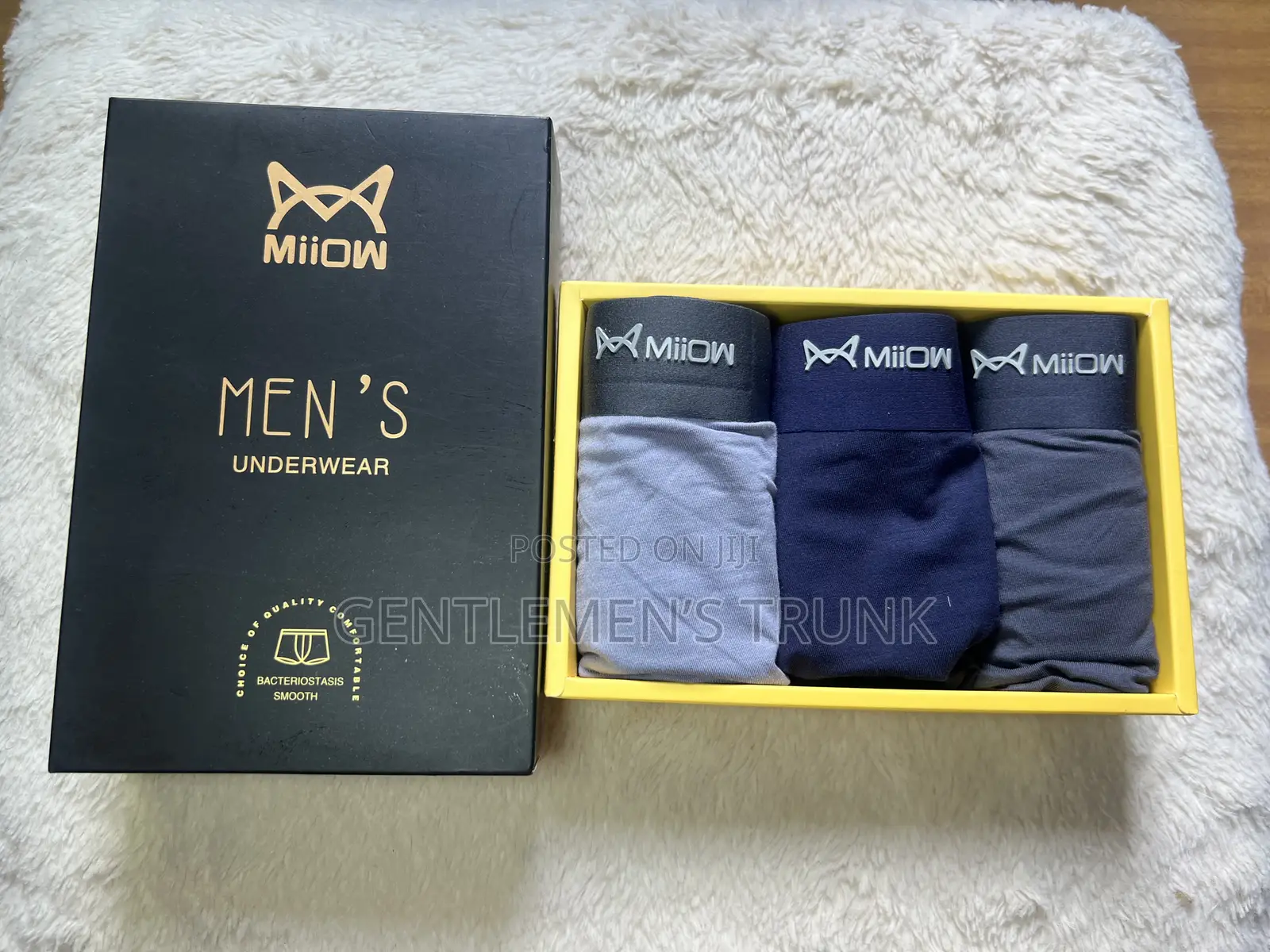 Gentlemen’S Trunk