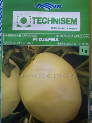 Garden Eggs Seeds