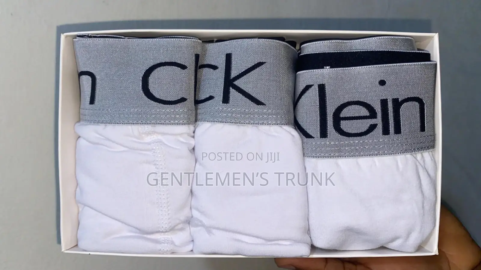 Gentlemen’S Trunk