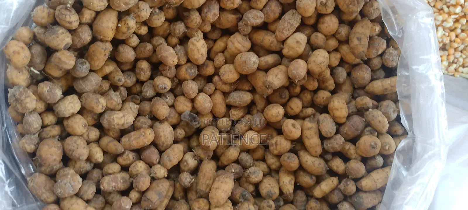 Fresh Tiger Nut