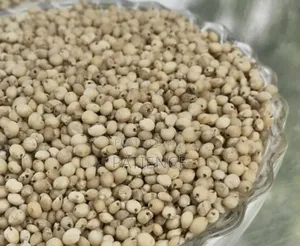 Sorghum Grains