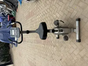Panaseima Magnetic Exercise Bike