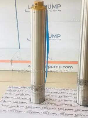 0.75kw \ 1.0hp Leo Borehole Pump