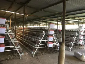 Cage System for Layers