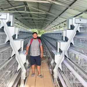 Chicken Cage Layers/System/Battery/Automatic/a H