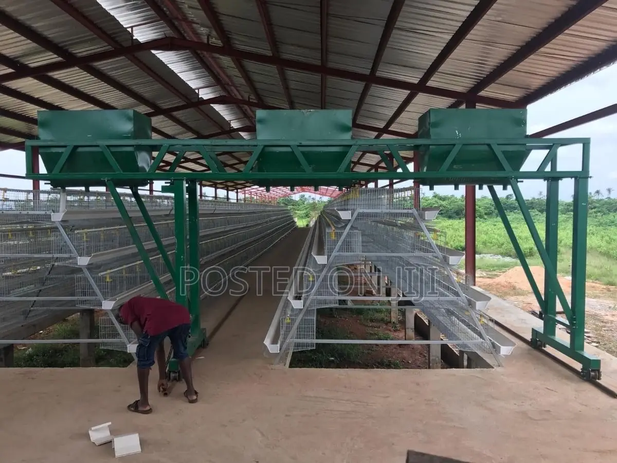 Poultry Cage/Layers/Chicken/Chicks