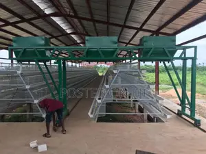 Poultry Cage/Layers/Chicken/Chicks