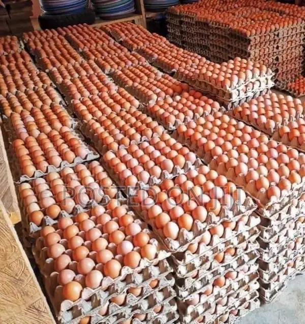 Organic Eggs