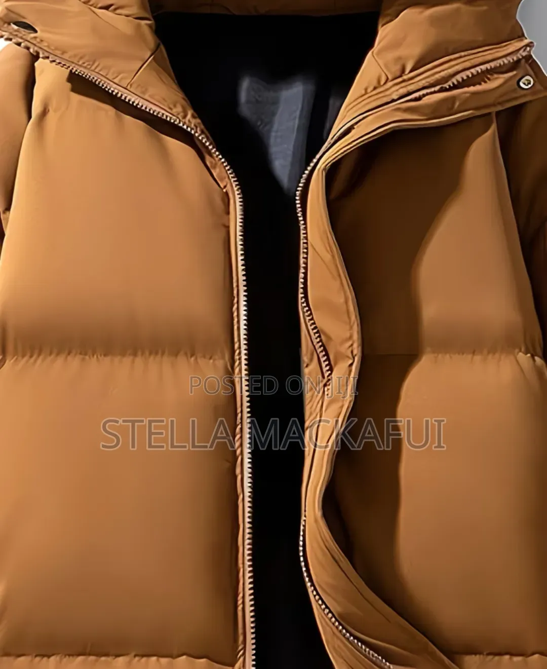 Exquisite Winter Jackets for Adults