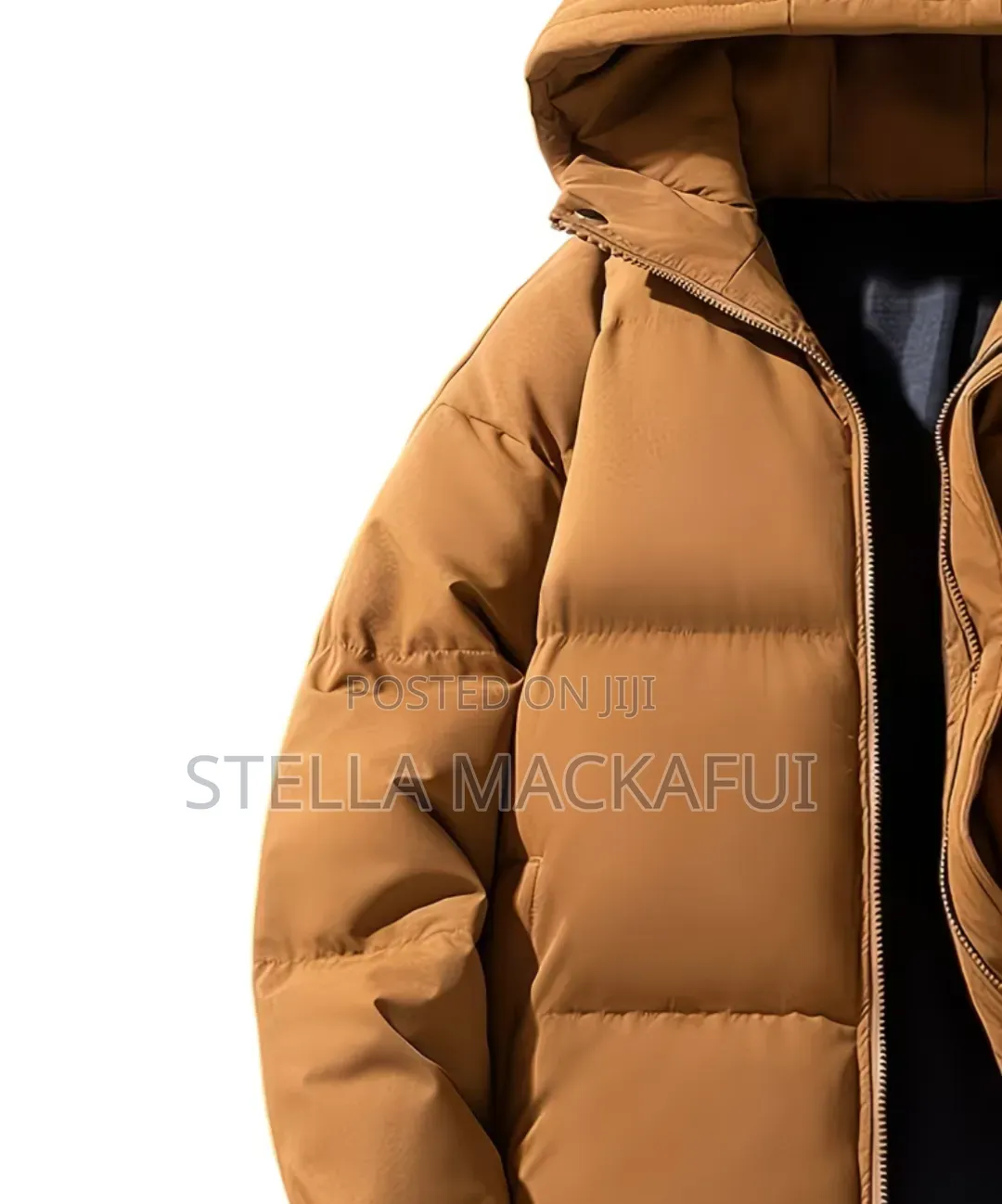 Exquisite Winter Jackets for Adults