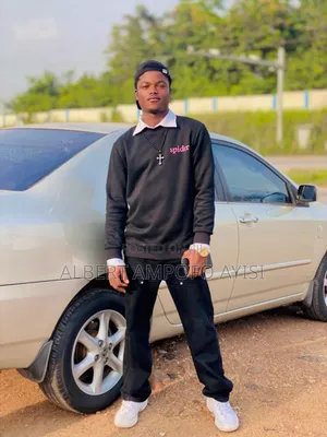 Albert Ayisi Ampofo|Aspiring Sales Assistant|Teamwork Enthusiast