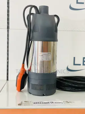 Portable 1.5hp Leo Submersible Pump
