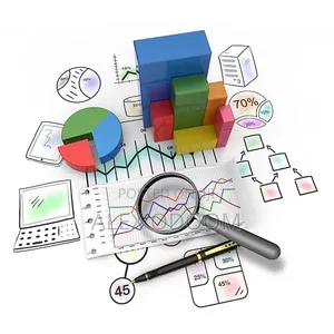 Professional Data Analysis Services (Spss, Excel, R, Python)