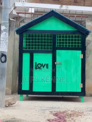 Dog Single House