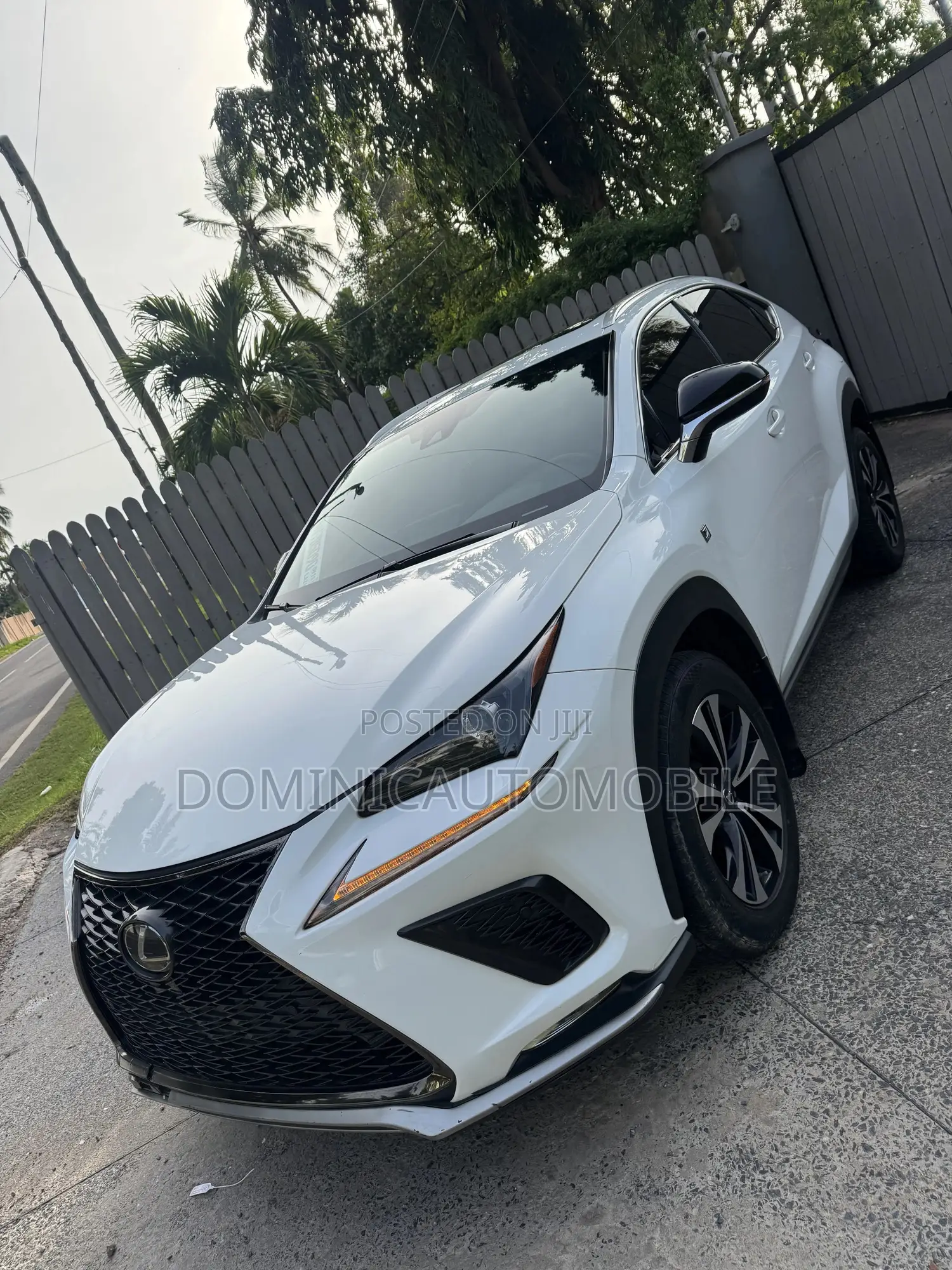 Lexus NX 300h FWD 2021 White