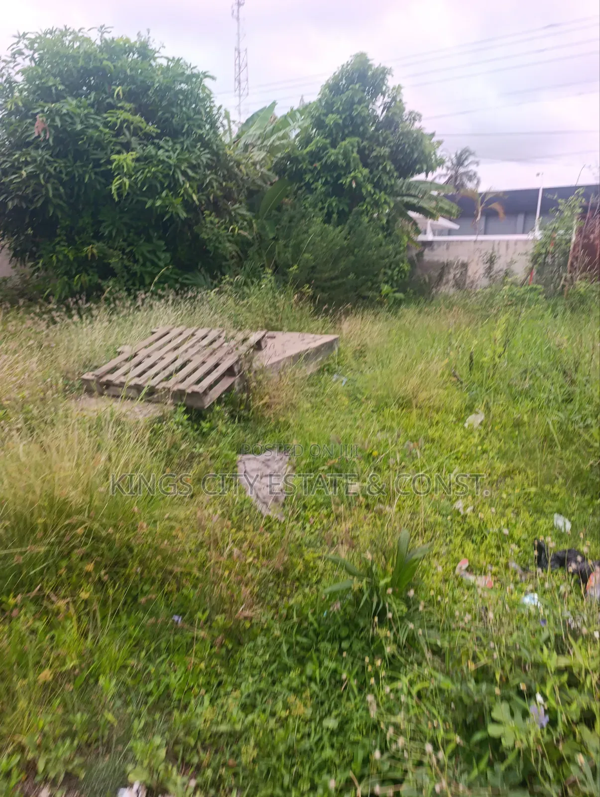 6 Plots for Sale at Tesano, (1.5 Million Dollars)