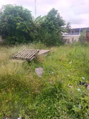 6 Plots for Sale at Tesano, (1.5 Million Dollars)
