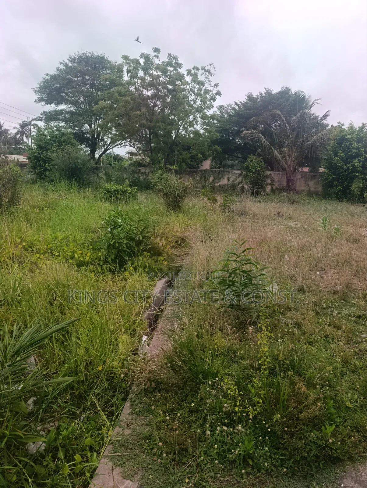 6 Plots for Sale at Tesano, (1.5 Million Dollars)