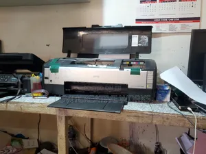 Epson Stylus Photo 1500w