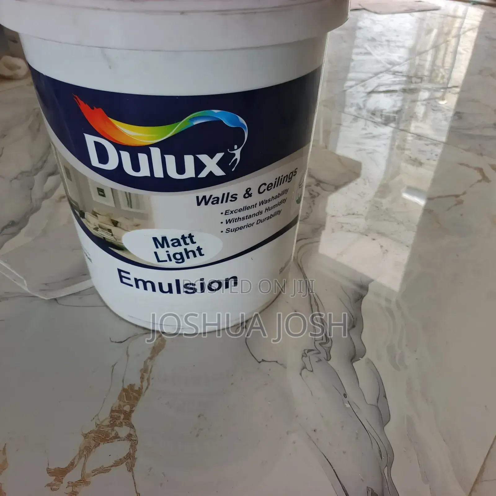 Professional Painter