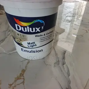 Professional Painter