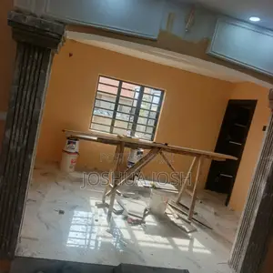 Professional Painter