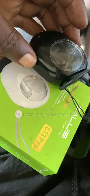 Earbuds C13 Pro