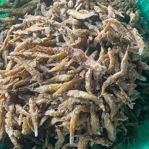 Gborvilolo Fried Fish
