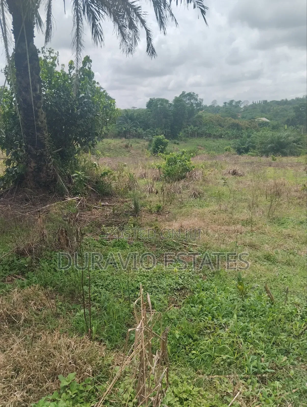 Full Plot in Duravio Estates