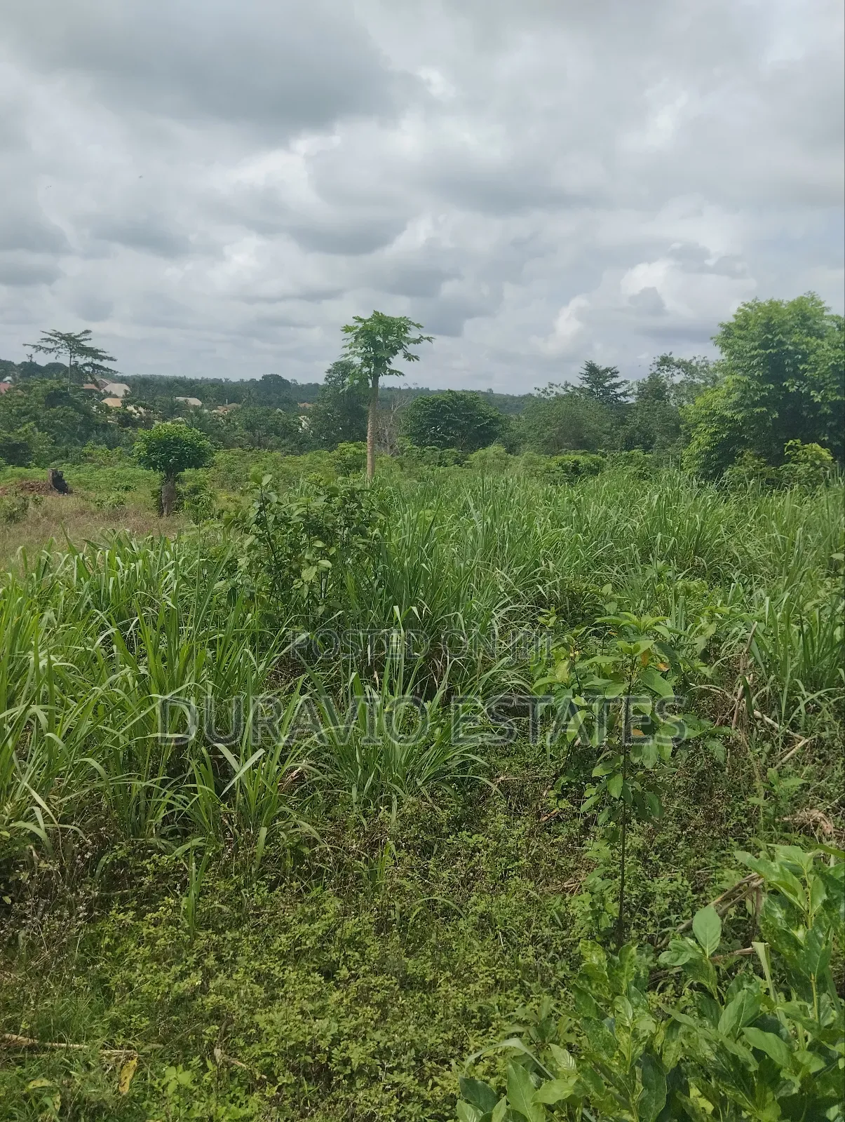 Full Plot in Duravio Estates
