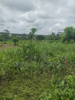 Full Plot in Duravio Estates