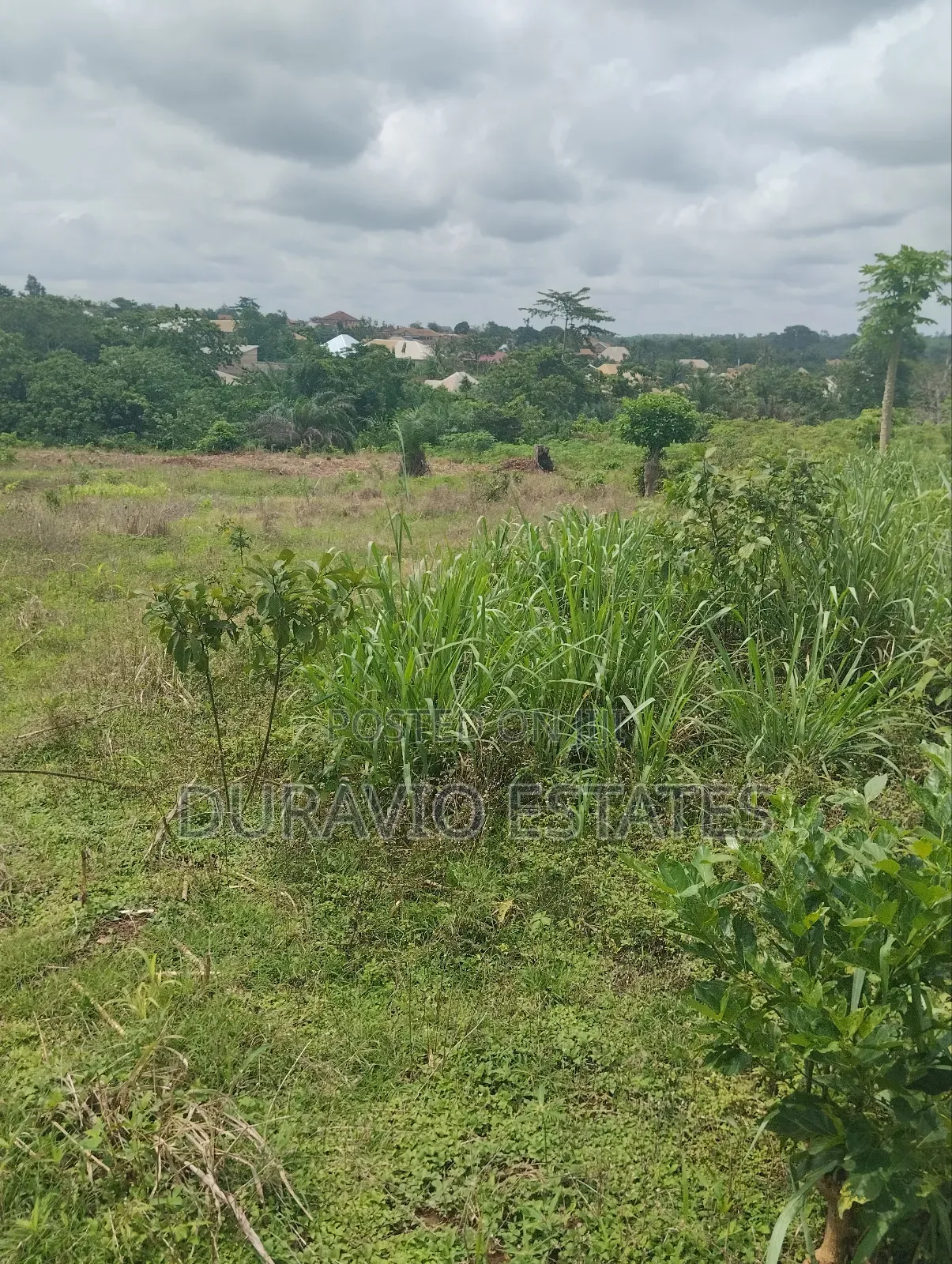 Full Plot in Duravio Estates