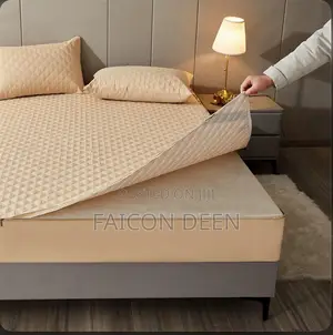 Complete 360 Zipper Mattress Defense Protector (Also in Diff Colors