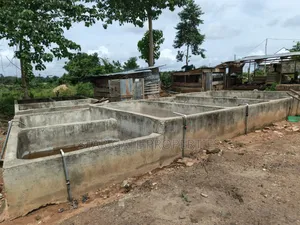 Fish Farm for Sale at Nyinahin ( Abuakwa/ Bibiani Road)